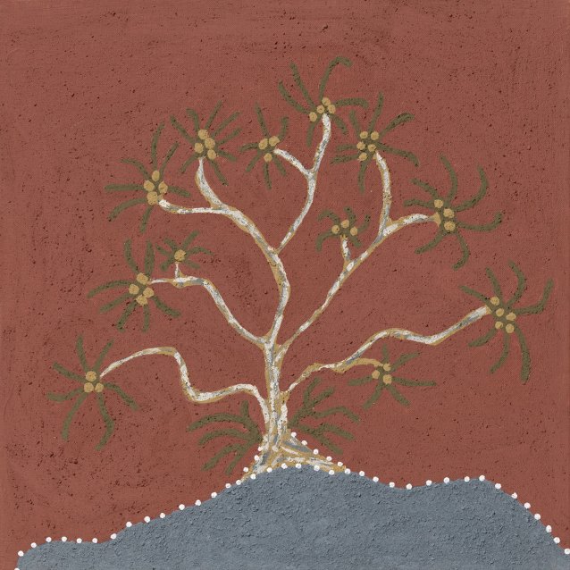Winbul (pandanus tree), 2018