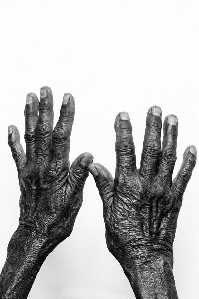 Nyangatja Ngayuku Mara (These are my hands), 2023